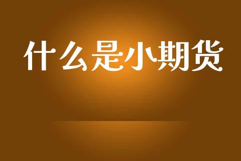 什么是小期货_https://wap.ycdhulan.com_财经新闻_第1张