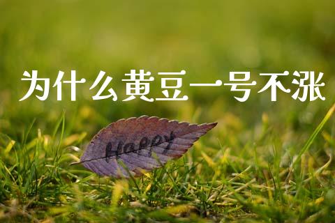 为什么黄豆一号不涨_https://wap.ycdhulan.com_国际财经_第1张