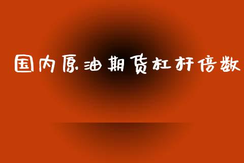 国内原油期货杠杆倍数_https://wap.ycdhulan.com_投资基金_第1张