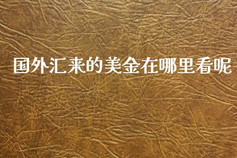 国外汇来的美金在哪里看呢_https://wap.ycdhulan.com_投资基金_第1张