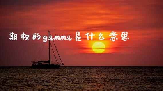 期权的gamma是什么意思_https://wap.ycdhulan.com_投资基金_第1张