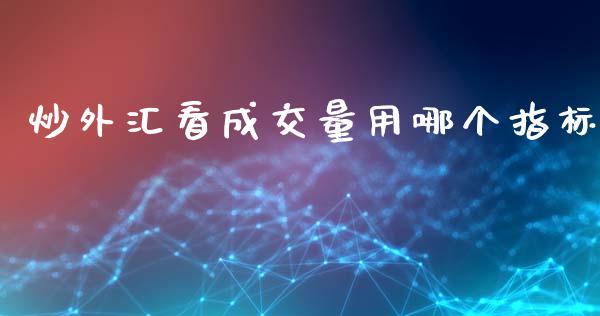 炒外汇看成交量用哪个指标_https://wap.ycdhulan.com_财经新闻_第1张
