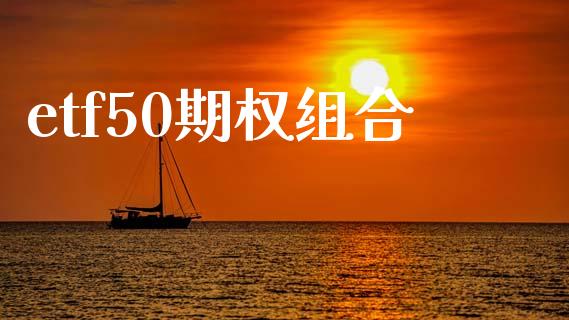 etf50期权组合_https://wap.ycdhulan.com_国际财经_第1张