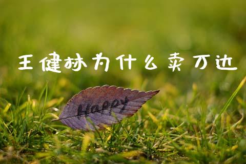 王健林为什么卖万达_https://wap.ycdhulan.com_金融咨询_第1张