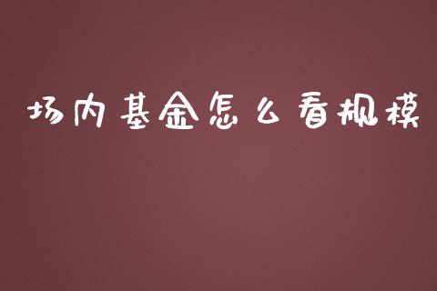 场内基金怎么看规模_https://wap.ycdhulan.com_货币市场_第1张