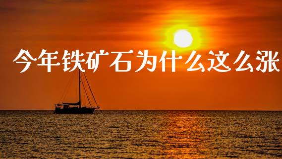 今年铁矿石为什么这么涨_https://wap.ycdhulan.com_金融咨询_第1张
