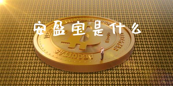 安盈宝是什么_https://wap.ycdhulan.com_货币市场_第1张