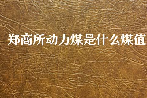 郑商所动力煤是什么煤值_https://wap.ycdhulan.com_财经新闻_第1张