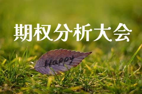 期权分析大会_https://wap.ycdhulan.com_国际财经_第1张