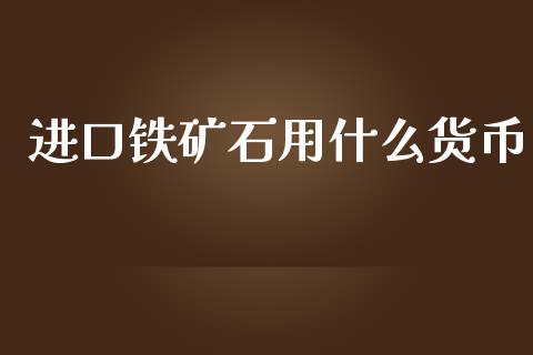 进口铁矿石用什么货币_https://wap.ycdhulan.com_财经新闻_第1张