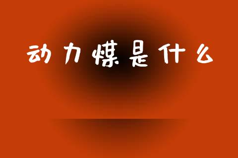 动力煤是什么_https://wap.ycdhulan.com_投资基金_第1张