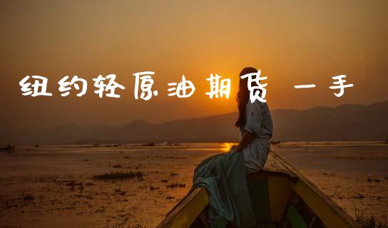 纽约轻原油期货 一手_https://wap.ycdhulan.com_财务投资_第1张