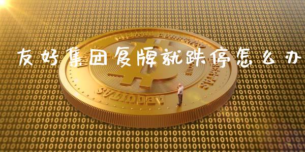 友好集团复牌就跌停怎么办_https://wap.ycdhulan.com_国际财经_第1张