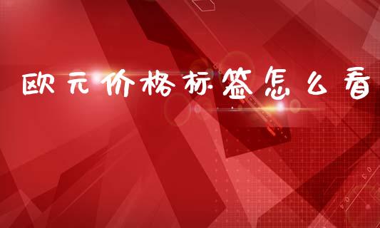 欧元价格标签怎么看_https://wap.ycdhulan.com_财务投资_第1张