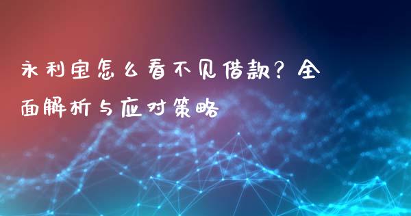 永利宝怎么看不见借款？全面解析与应对策略_https://wap.ycdhulan.com_财务投资_第1张