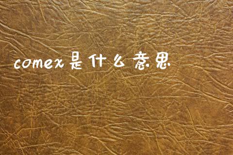 comex是什么意思_https://wap.ycdhulan.com_货币市场_第1张