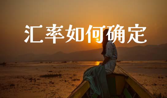 汇率如何确定_https://wap.ycdhulan.com_金融咨询_第1张