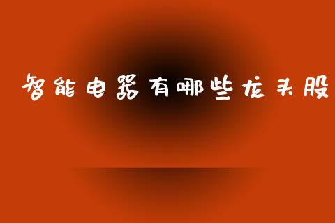 智能电器有哪些龙头股_https://wap.ycdhulan.com_财经新闻_第1张