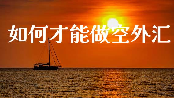 如何才能做空外汇_https://wap.ycdhulan.com_货币市场_第1张