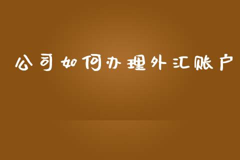 公司如何办理外汇账户_https://wap.ycdhulan.com_投资基金_第1张