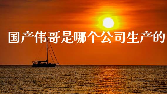 国产伟哥是哪个公司生产的_https://wap.ycdhulan.com_金融咨询_第1张