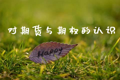 对期货与期权的认识_https://wap.ycdhulan.com_财务投资_第1张