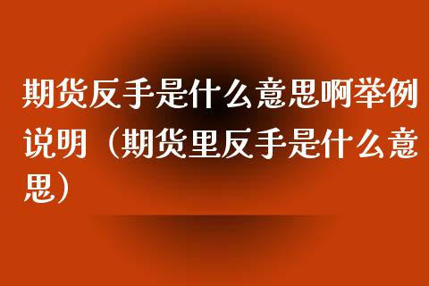 期货反手是什么意思啊举例说明（期货里反手是什么意思）_https://wap.ycdhulan.com_金融咨询_第1张