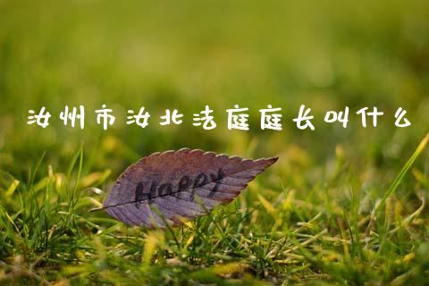 汝州市汝北法庭庭长叫什么_https://wap.ycdhulan.com_财经新闻_第1张