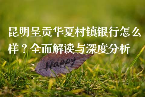 昆明呈贡华夏村镇银行怎么样？全面解读与深度分析_https://wap.ycdhulan.com_投资基金_第1张