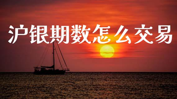 沪银期数怎么交易_https://wap.ycdhulan.com_金融咨询_第1张
