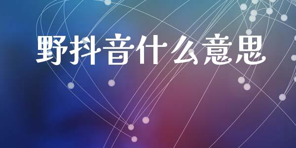 野抖音什么意思_https://wap.ycdhulan.com_财务投资_第1张