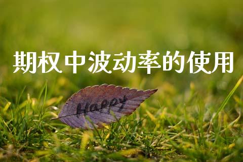期权中波动率的使用_https://wap.ycdhulan.com_财务投资_第1张