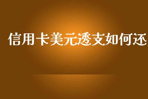 信用卡美元透支如何还_https://wap.ycdhulan.com_金融咨询_第1张