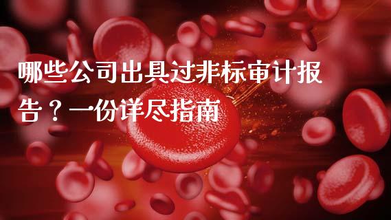 哪些公司出具过非标审计报告？一份详尽指南_https://wap.ycdhulan.com_金融咨询_第1张