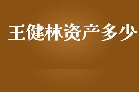 王健林资产多少_https://wap.ycdhulan.com_投资基金_第1张