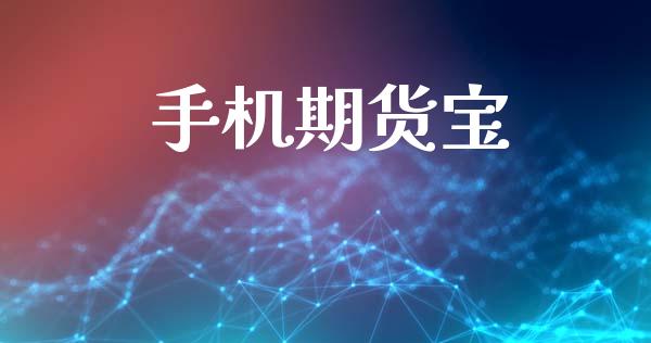 手机期货宝_https://wap.ycdhulan.com_国际财经_第1张