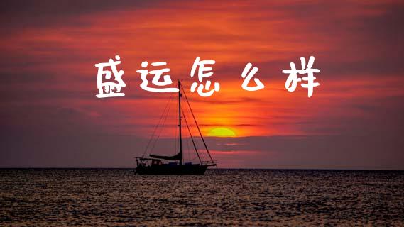 盛运怎么样_https://wap.ycdhulan.com_金融咨询_第1张