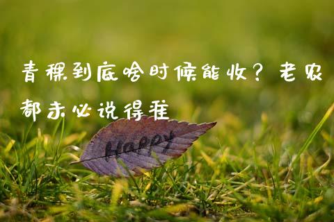 青稞到底啥时候能收？老农都未必说得准_https://wap.ycdhulan.com_财经新闻_第1张