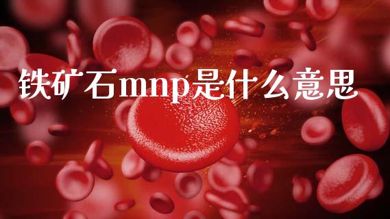 铁矿石mnp是什么意思_https://wap.ycdhulan.com_投资基金_第1张