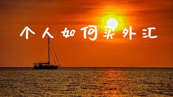 个人如何买外汇_https://wap.ycdhulan.com_财经新闻_第1张