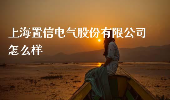 上海置信电气股份有限公司怎么样_https://wap.ycdhulan.com_财务投资_第1张