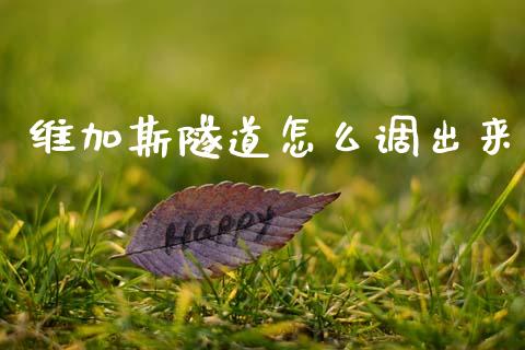 维加斯隧道怎么调出来_https://wap.ycdhulan.com_财务投资_第1张