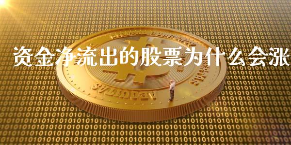 资金净流出的股票为什么会涨_https://wap.ycdhulan.com_货币市场_第1张