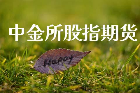 中金所股指期货_https://wap.ycdhulan.com_财经新闻_第1张