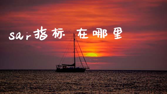 sar指标 在哪里_https://wap.ycdhulan.com_投资基金_第1张