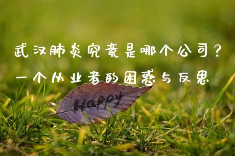 武汉肺炎究竟是哪个公司？一个从业者的困惑与反思_https://wap.ycdhulan.com_财务投资_第1张