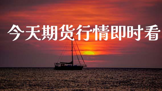 今天期货行情即时看_https://wap.ycdhulan.com_金融咨询_第1张