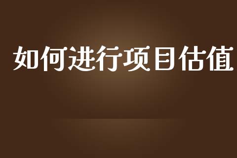 如何进行项目估值_https://wap.ycdhulan.com_投资基金_第1张