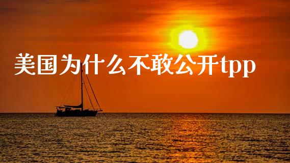 美国为什么不敢公开tpp_https://wap.ycdhulan.com_财务投资_第1张