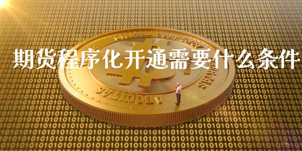 期货程序化开通需要什么条件_https://wap.ycdhulan.com_投资基金_第1张